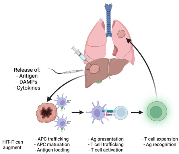 Intra-tumoral Treatment